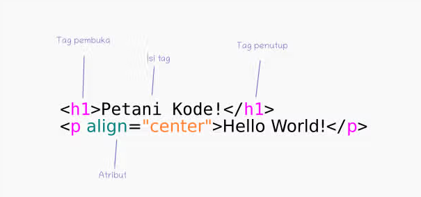 Belajar Html Apa Itu Html Pengertian Html Lengkap Untuk Pemula