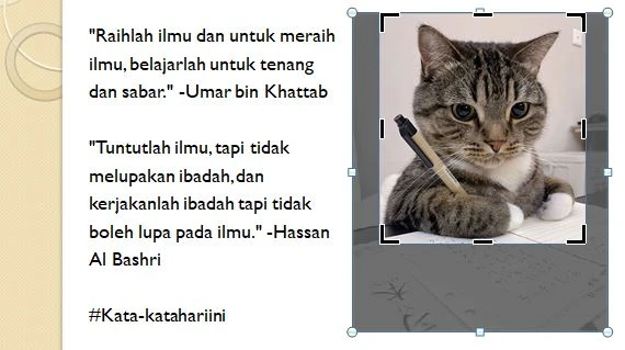 Pilih bagian yang ingin dicrop