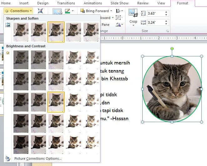Pilih corrections yang menurutmu sesuai