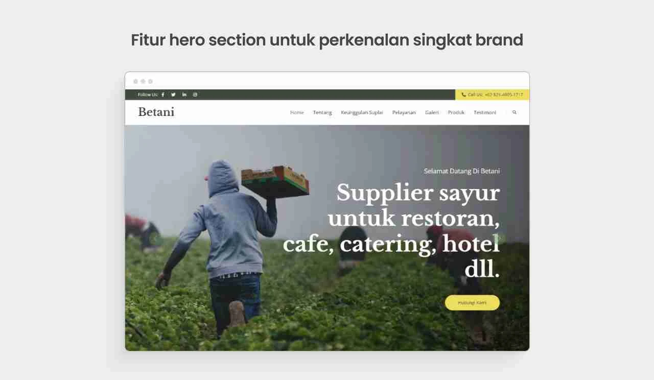 Hero Section